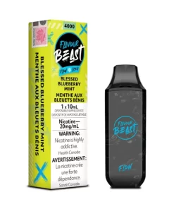 Flavour Beast Blessed Blueberry Mint Iced (20mg/mL)