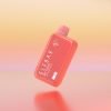 ELF BAR BC10000 - Watermelon Ice (20mg/mL)